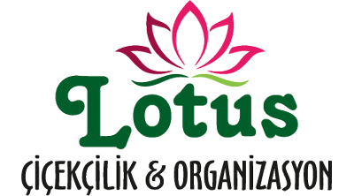 Lotus Çiçekçilik & Organizasyon