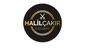 Halil Çakır Exclusive Logo