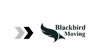 Blackbird Moving