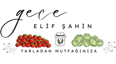Gece Elif Şahin - Tarladan Mutfağınıza