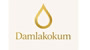 @damla_kokumm Logo