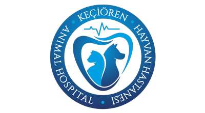 Keçiören Hayvan Hastanesi