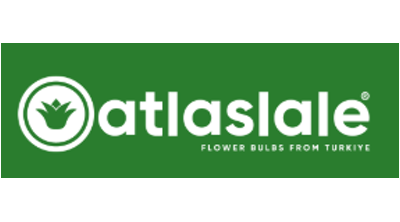 Atlas Lale Logo