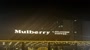 Mulberry Lounge & Coffee Logo