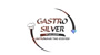 Gastrosilver Shop