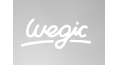 Wegic AI Logo