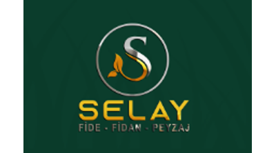 Selay Fide | Kayseri Logo