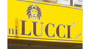Leoni Lucci Ayakkabı Logo