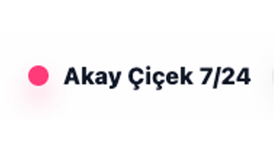 Akaycicekcilik.com.tr Logo