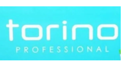 Torino Professionel Logo