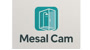 Mesal Cam Duşakabin
