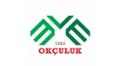 BVE Sport Logo