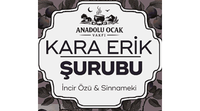 Karaerik.com Logo