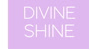 Divine Shine Bridal Logo