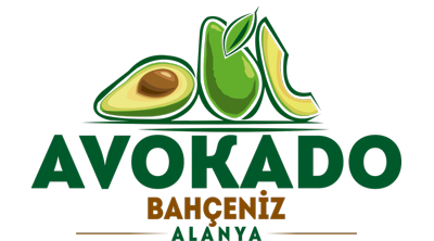 Avokado Bahçeniz | Alanya