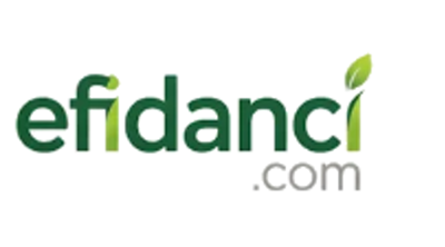 Efidanci.com Logo