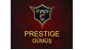 Prestige Gümüş Logo