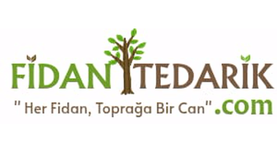 Fidantedarik.com Logo