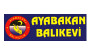 Ayabakan Balıkçısı