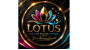 Lotus Halı Yıkama | Bolu Logo