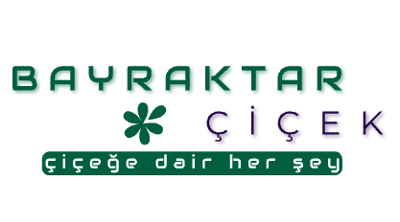 Bayraktar Peyzaj Logo