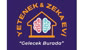 Yetenek ve Zeka Evi Logo