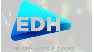 Edh-group.com Logo