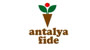 Antalya Fide Logo