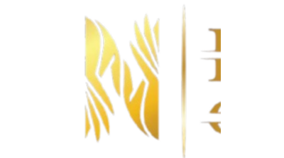 Elnes Group Logo