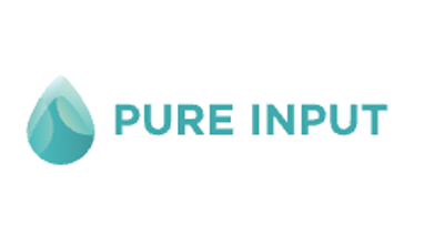 Pure İnput Logo