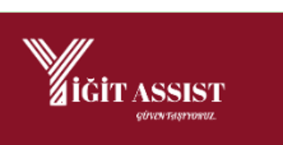 Yiğit Assist Logo