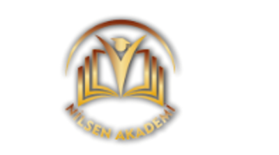 Nilsen Akademi Logo