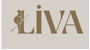 Liva Pompa Mekanik Logo