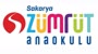 Sakarya Zümrüt Anaokulu | Eskişehir Logo
