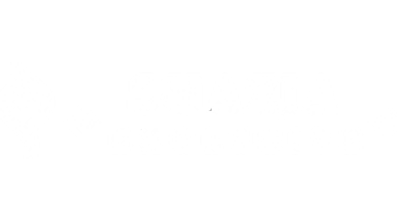 Shazia Exclusive Logo
