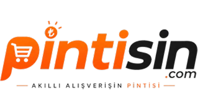 Pintisin Logo