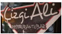 Çizgiali Aile Meyhanesi Logo