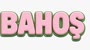 Bahoş Case Logo