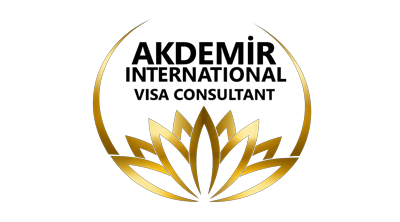 Akdemir International Visa Logo