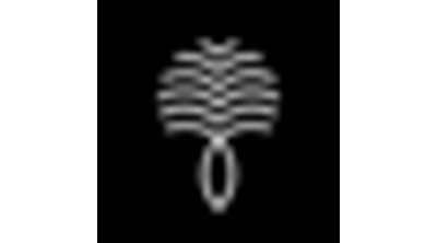 Palm Travel Logo