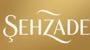 Tasarım Şehzade Logo