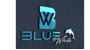 Bursa Blue White Logo