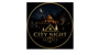 City Night Sapanca Logo