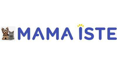 Mama İste Logo