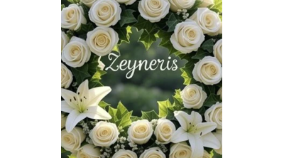 Zeyneris Logo