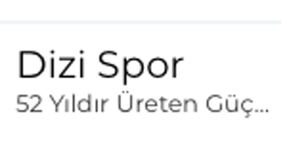Dizi Spor Tekstil Logo