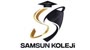 Büyük Samsun Koleji Logo