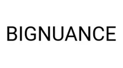 Bignuance Logo
