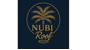 Nubi Roof Logo