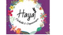Hayal Çiçekçilik | Efeler Logo